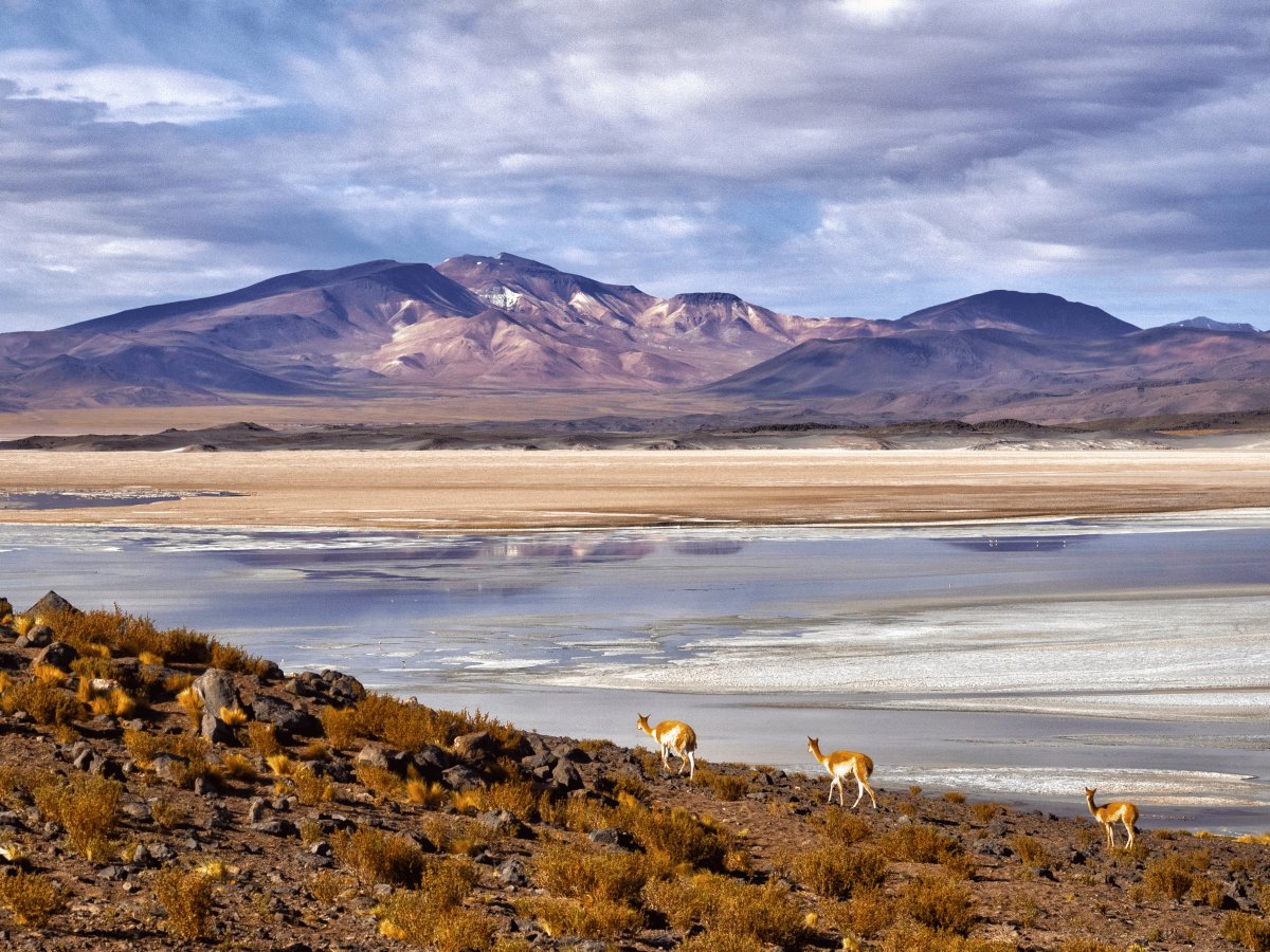 Deserto de Atacama