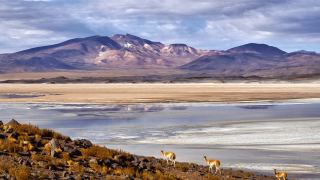 Deserto de Atacama