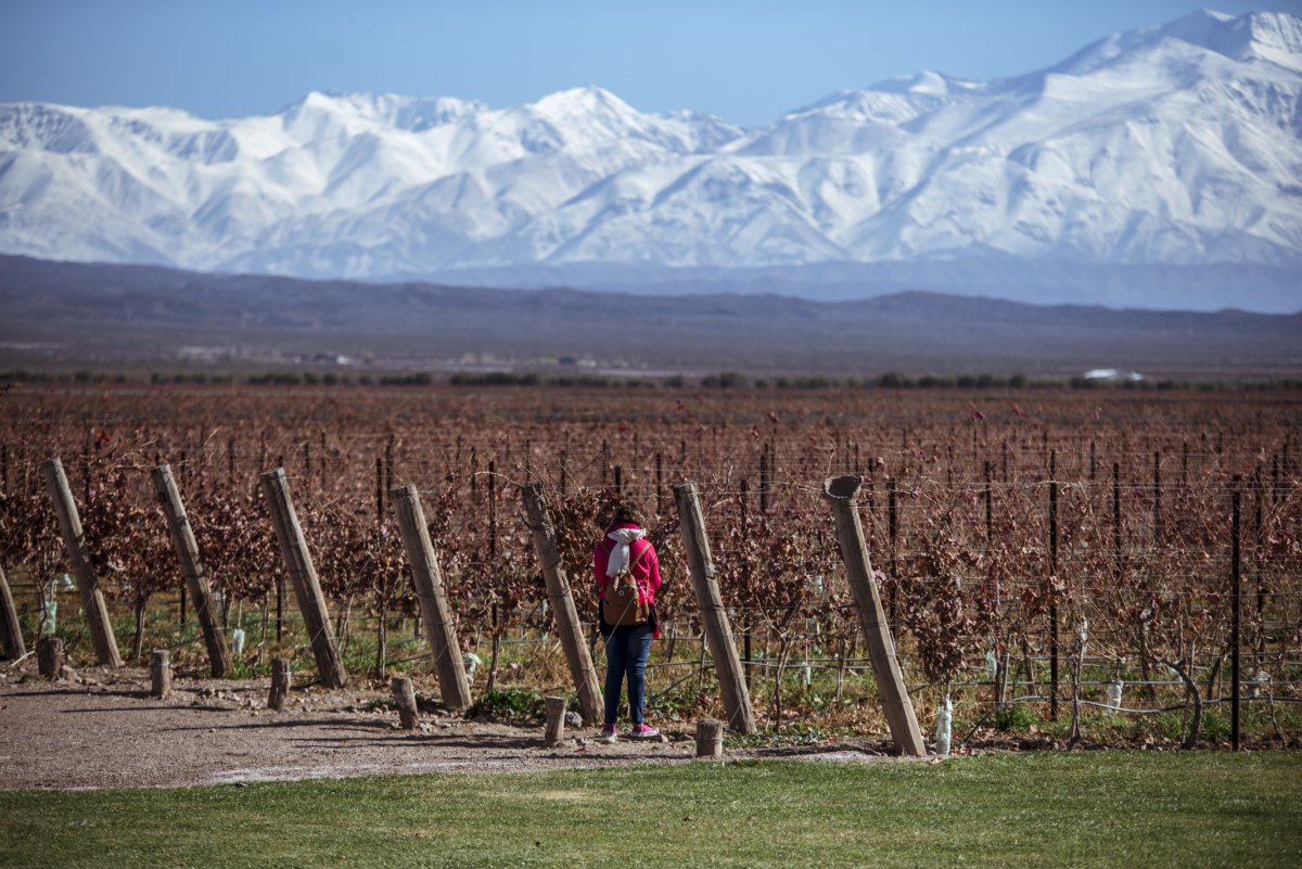 Mendoza Vinhos