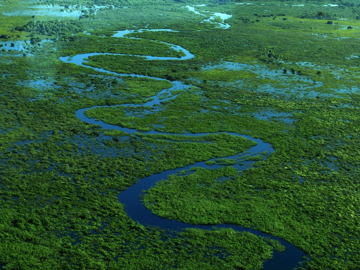Pantanal