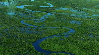 Pantanal