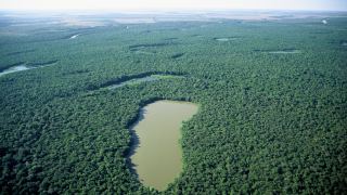 Parque Estadual do Cantão e Bananal