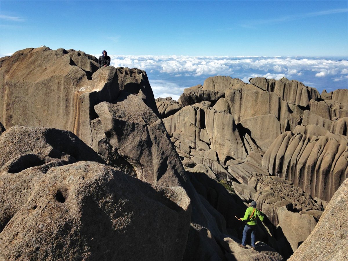 Parque Nacional do Itatiaia - Agulhas Negras