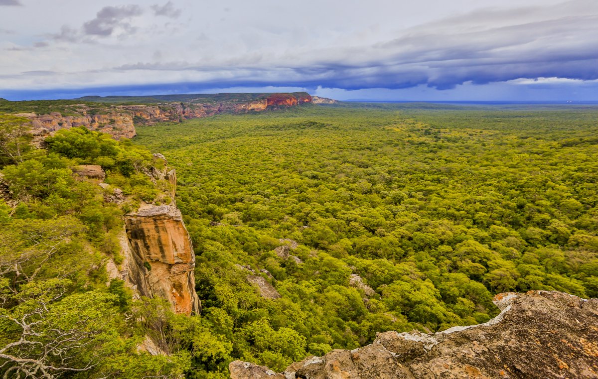 Serra da Capivara