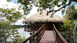 Amazônia - Juma Amazon Lodge