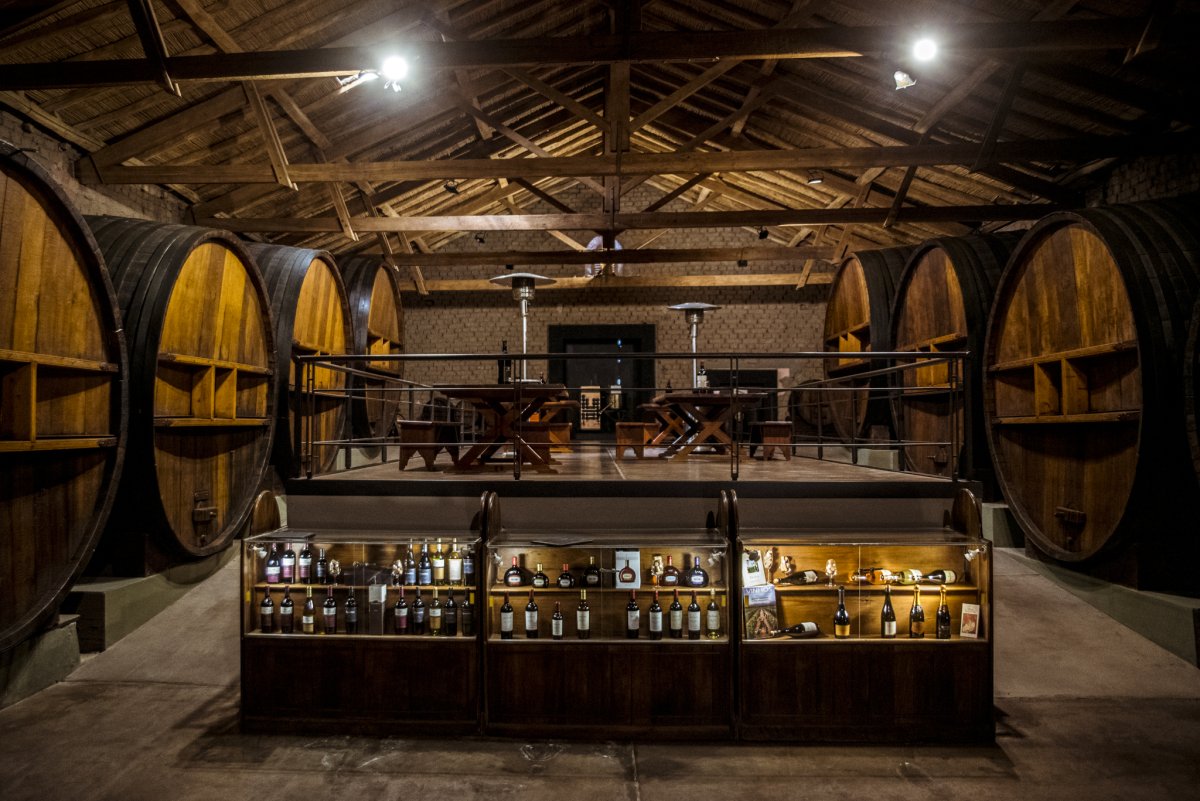 Mendoza Vinhos