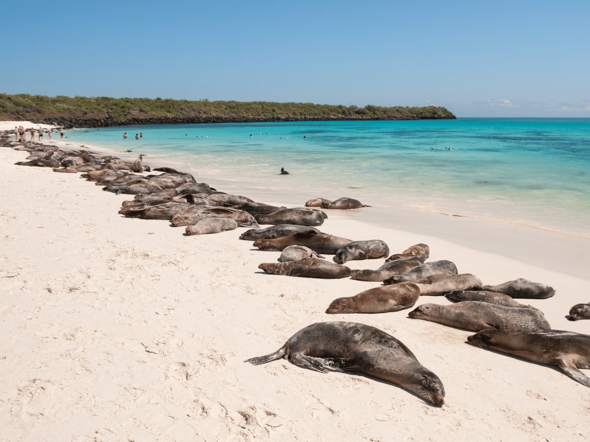 Galápagos Equador