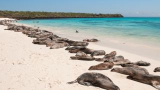Galápagos Equador