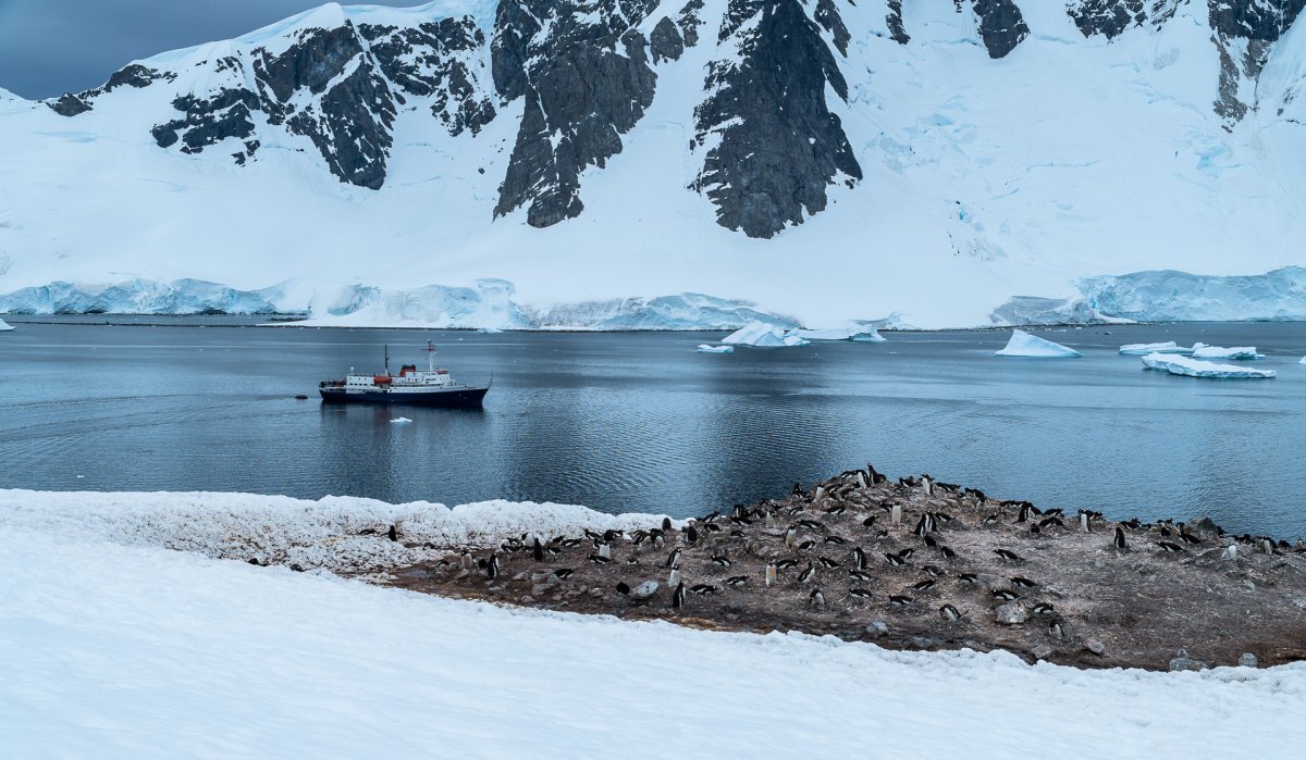 Cruzeiro para Antártica