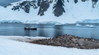 Cruzeiro para Antártica