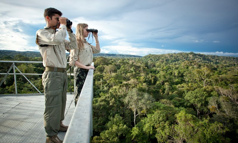 Amazônia - Cristalino Jungle Lodge - Um Santuário Amazônico