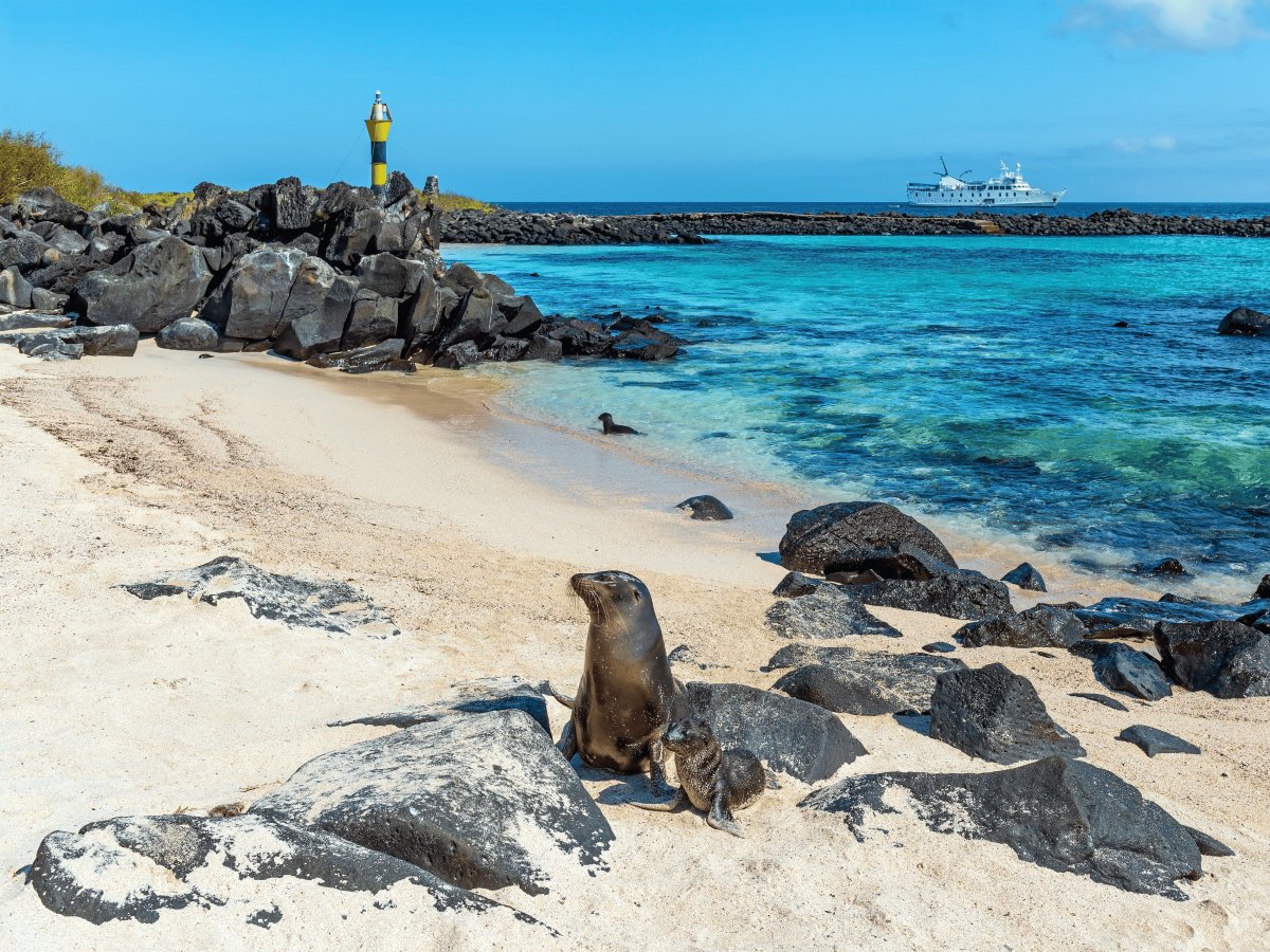 Galápagos Equador