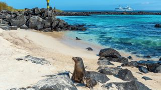 Galápagos Equador