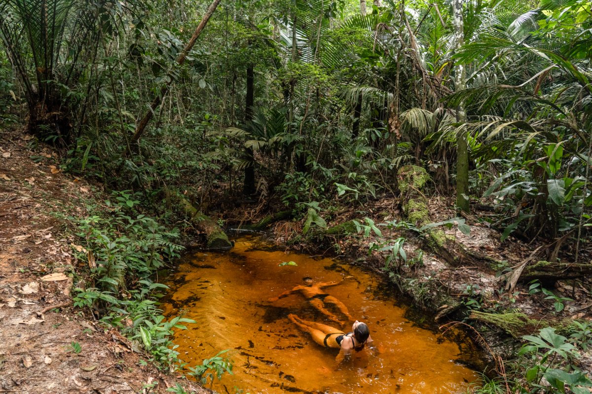 Amazônia - Vivência Ribeirinha no Baixo Rio Negro