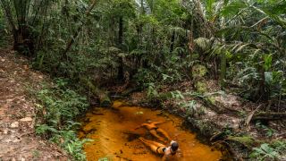 Amazônia - Vivência Ribeirinha no Baixo Rio Negro