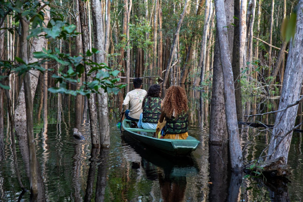 Amazônia Katerre