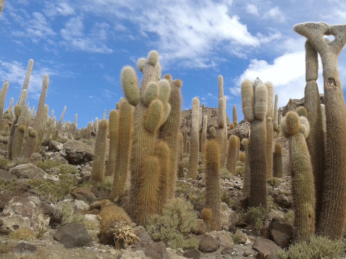 Bolívia Salar de Uyuni