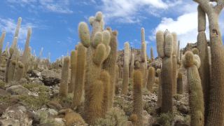 Bolívia Salar de Uyuni