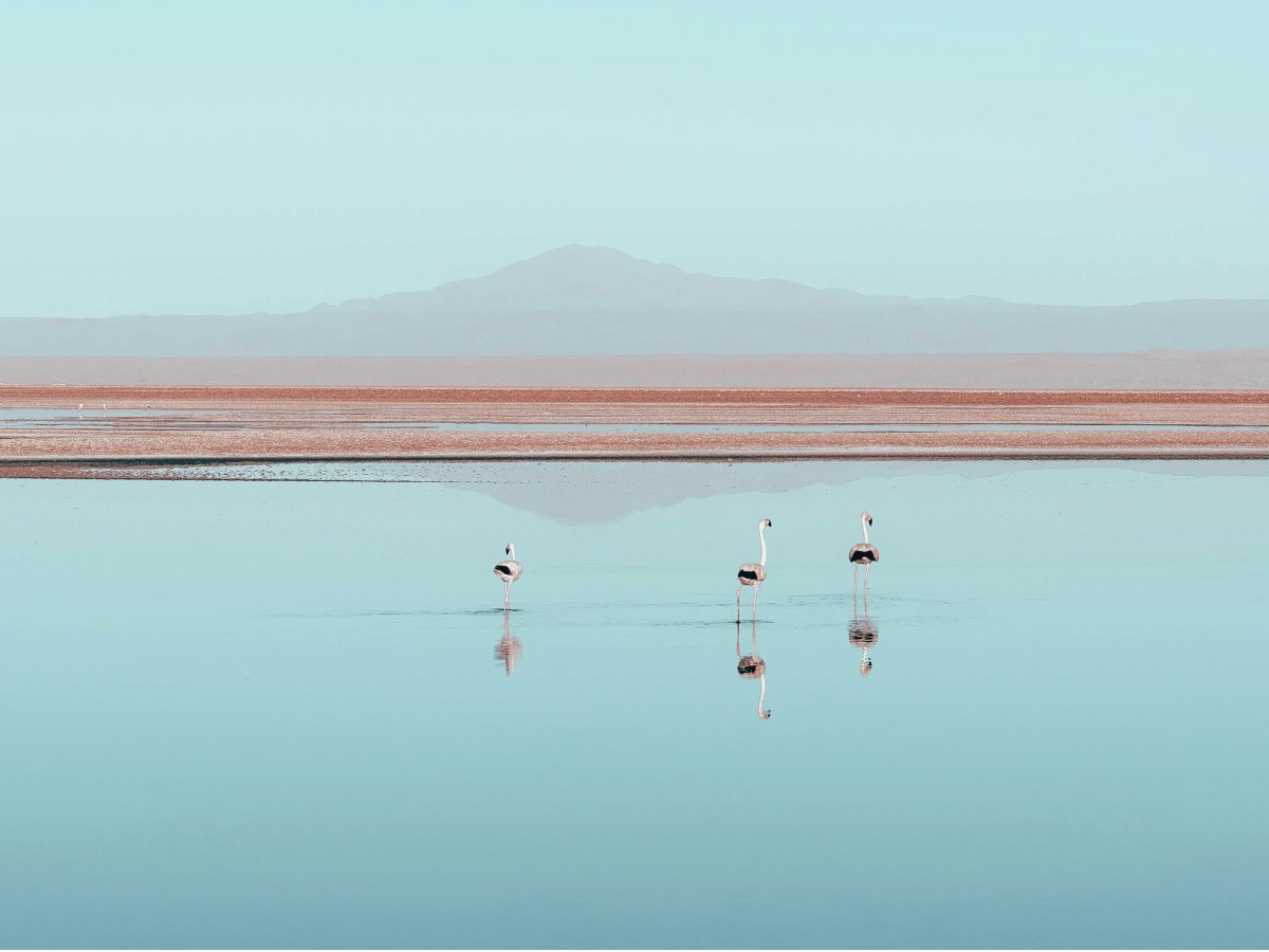Deserto de Atacama