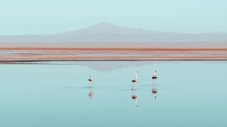 Deserto de Atacama