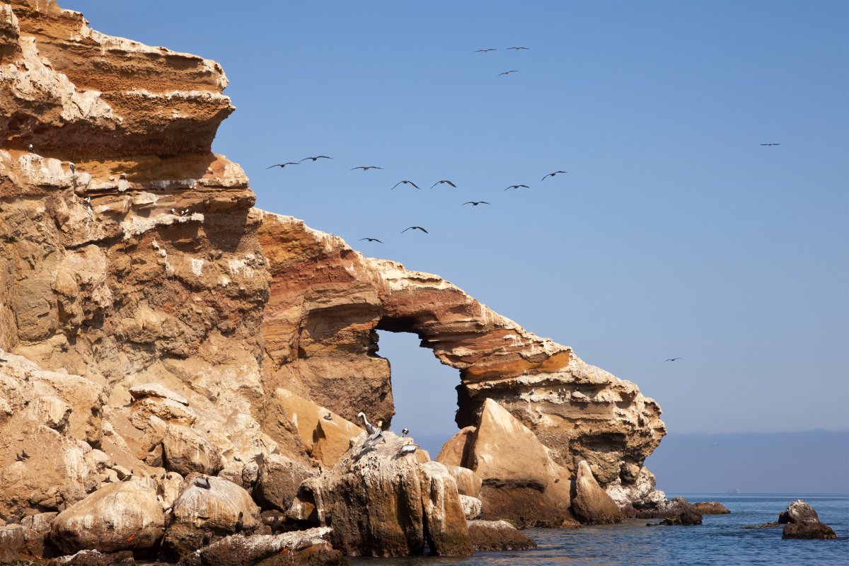 Ilhas Ballestas Lima Peru