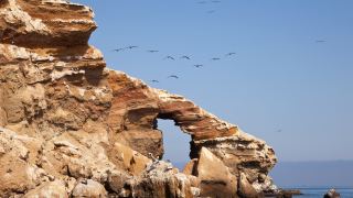Ilhas Ballestas Lima Peru