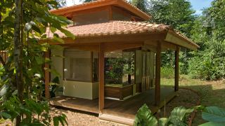 Amazônia - Cristalino Jungle Lodge - Um Santuário Amazônico