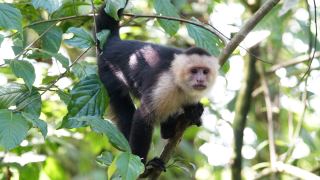 Costa Rica