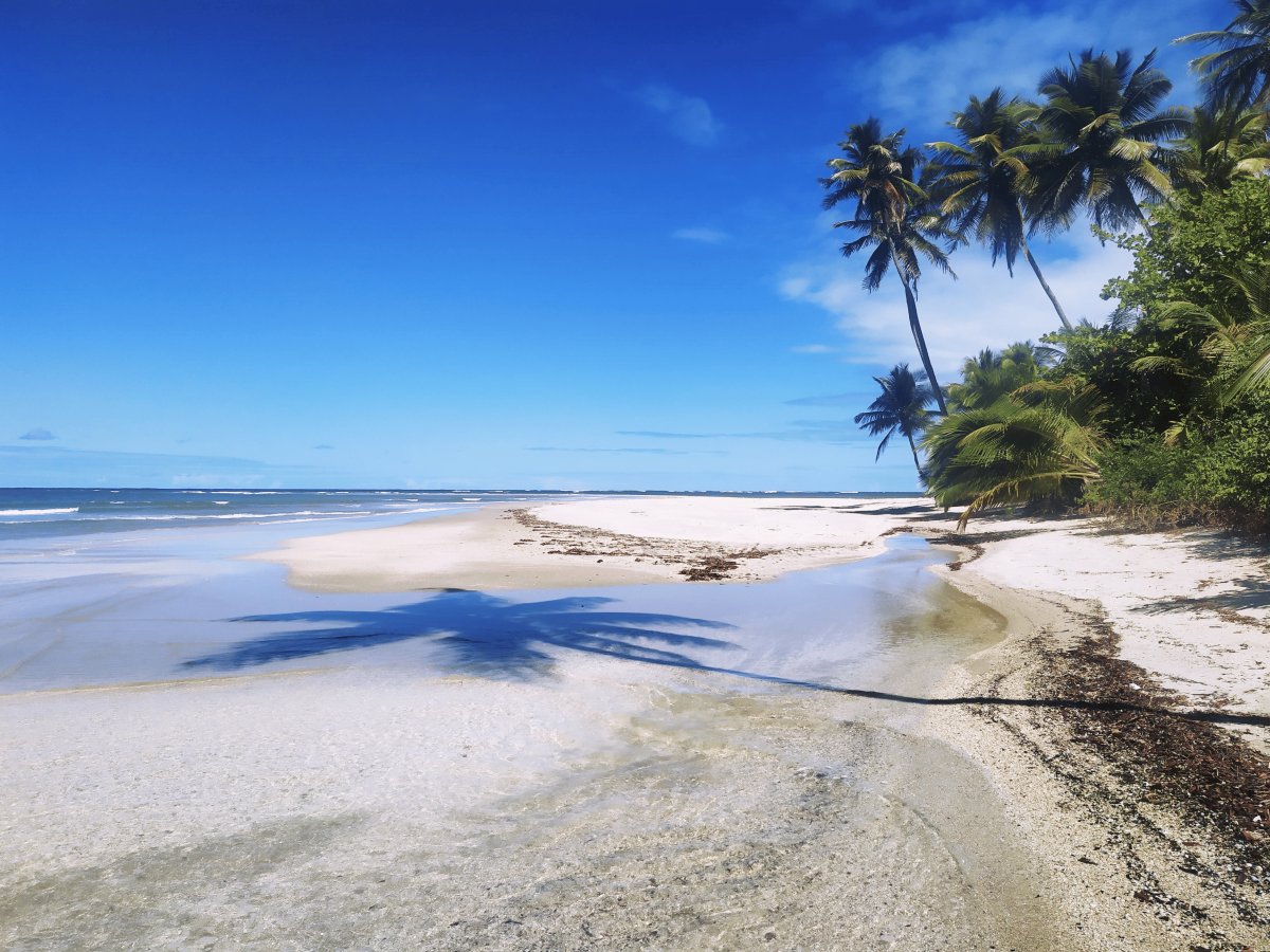 Ilha de Boipeba