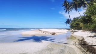 Ilha de Boipeba Bahia