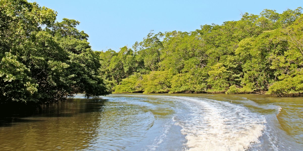 Delta do Parnaíba