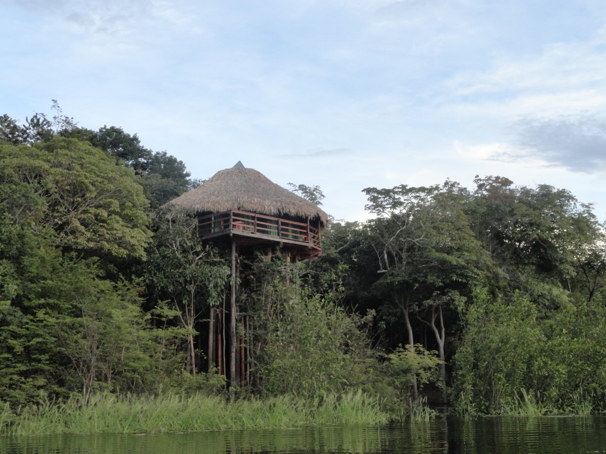 Amazônia - Juma Amazon Lodge