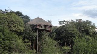 Amazônia - Juma Amazon Lodge