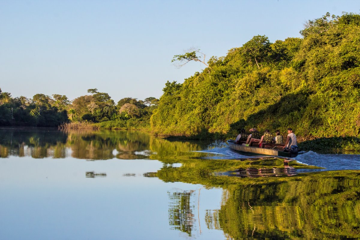 Pantanal Aguapé