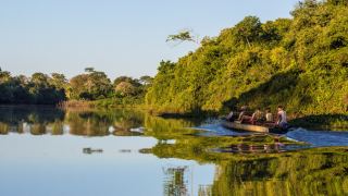Pantanal Aguapé