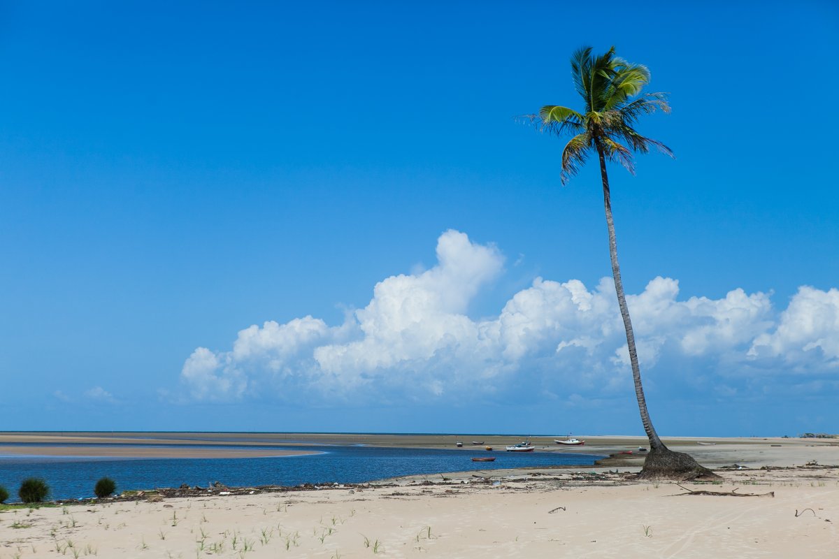 Ilha do Marajó Pará