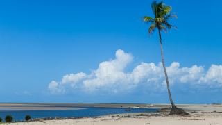Ilha do Marajó Pará