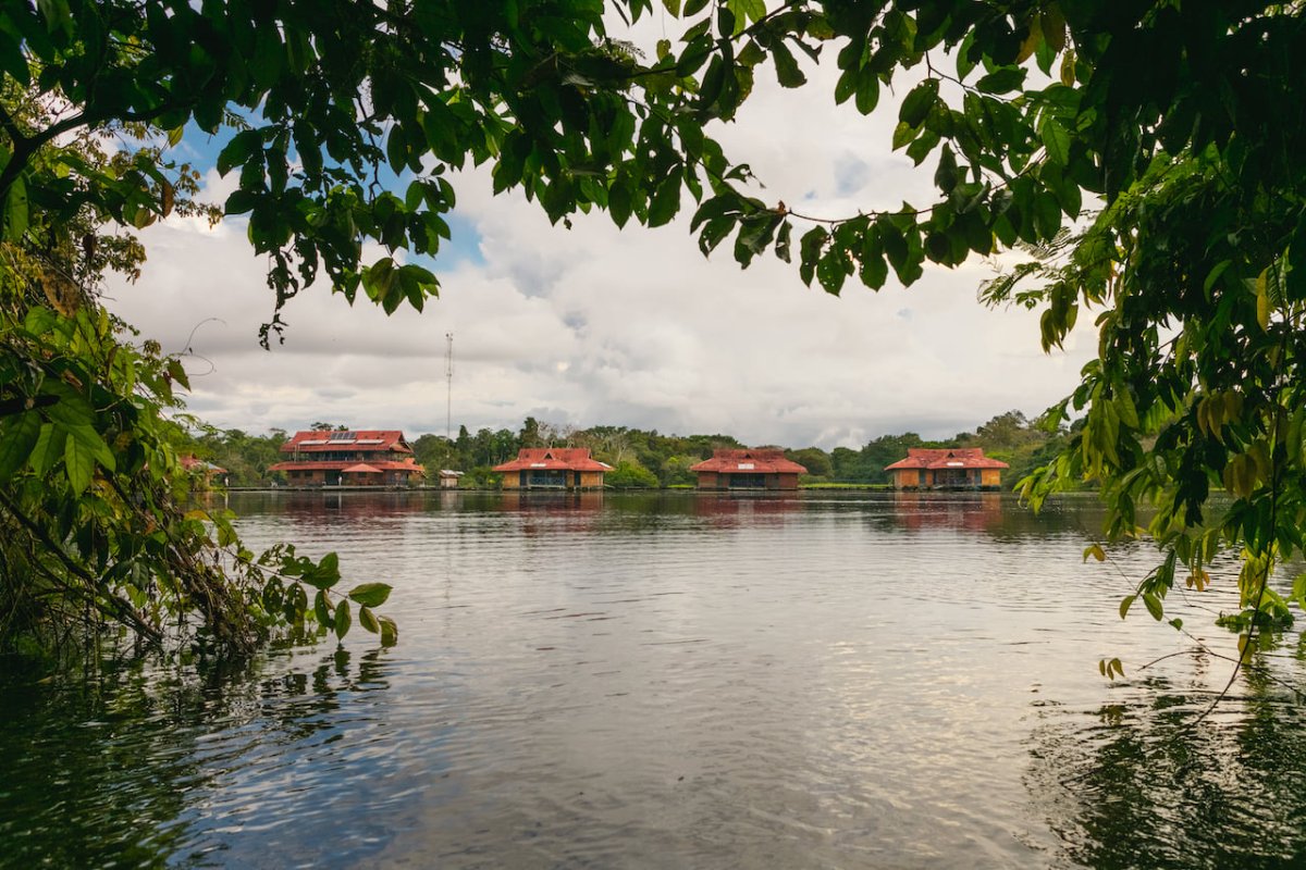 Amazônia - Uakari Lodge - Jaguar Expedition na Reserva Mamirauá