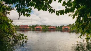 Amazônia - Uakari Lodge - Jaguar Expedition na Reserva Mamirauá