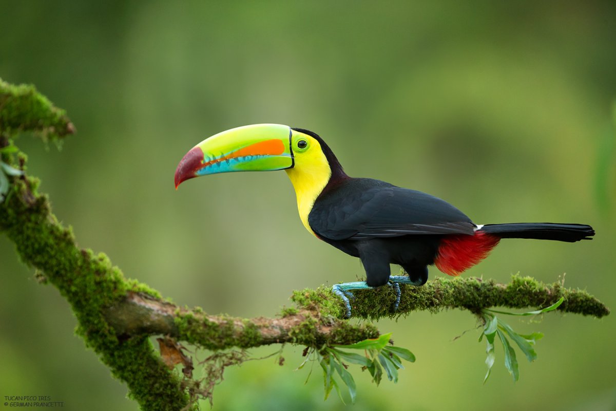 Costa Rica