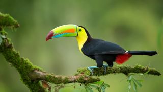 Costa Rica