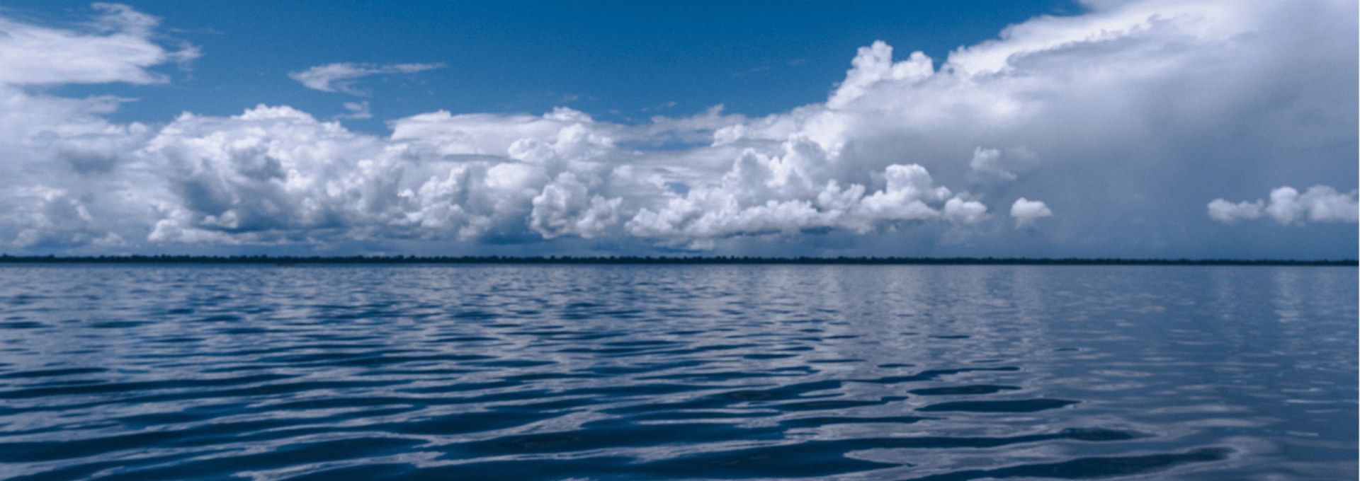 Amazônia - Vivência Ribeirinha no Baixo Rio Negro