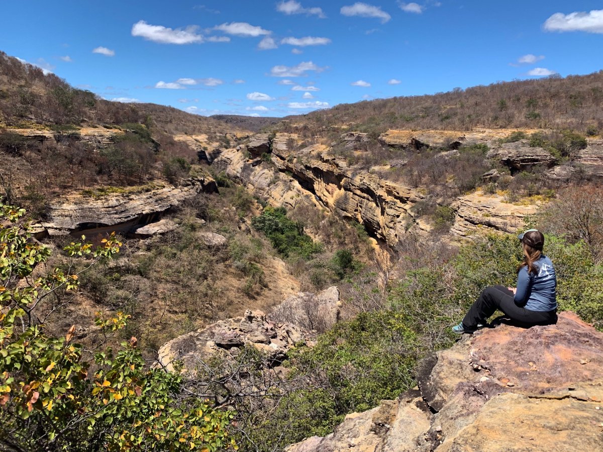 Os Sítios Arqueológicos da Serra da Capivara