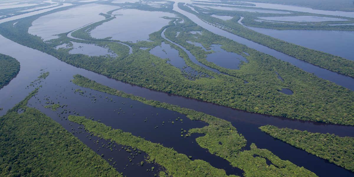 Amazônia Anavilhanas