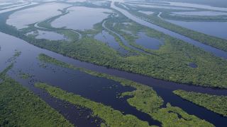 Amazônia Anavilhanas