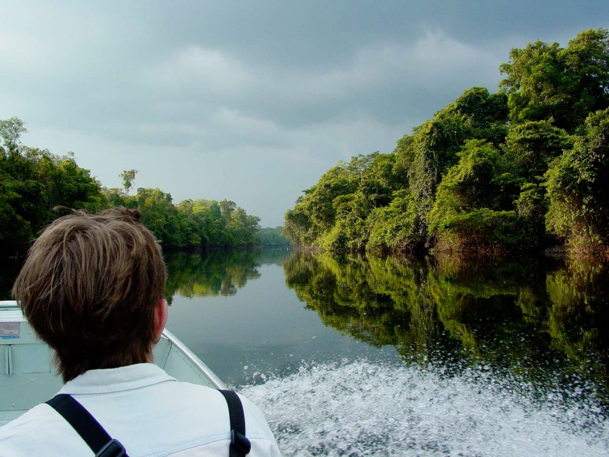 Amazônia - Cristalino Jungle Lodge - Um Santuário Amazônico
