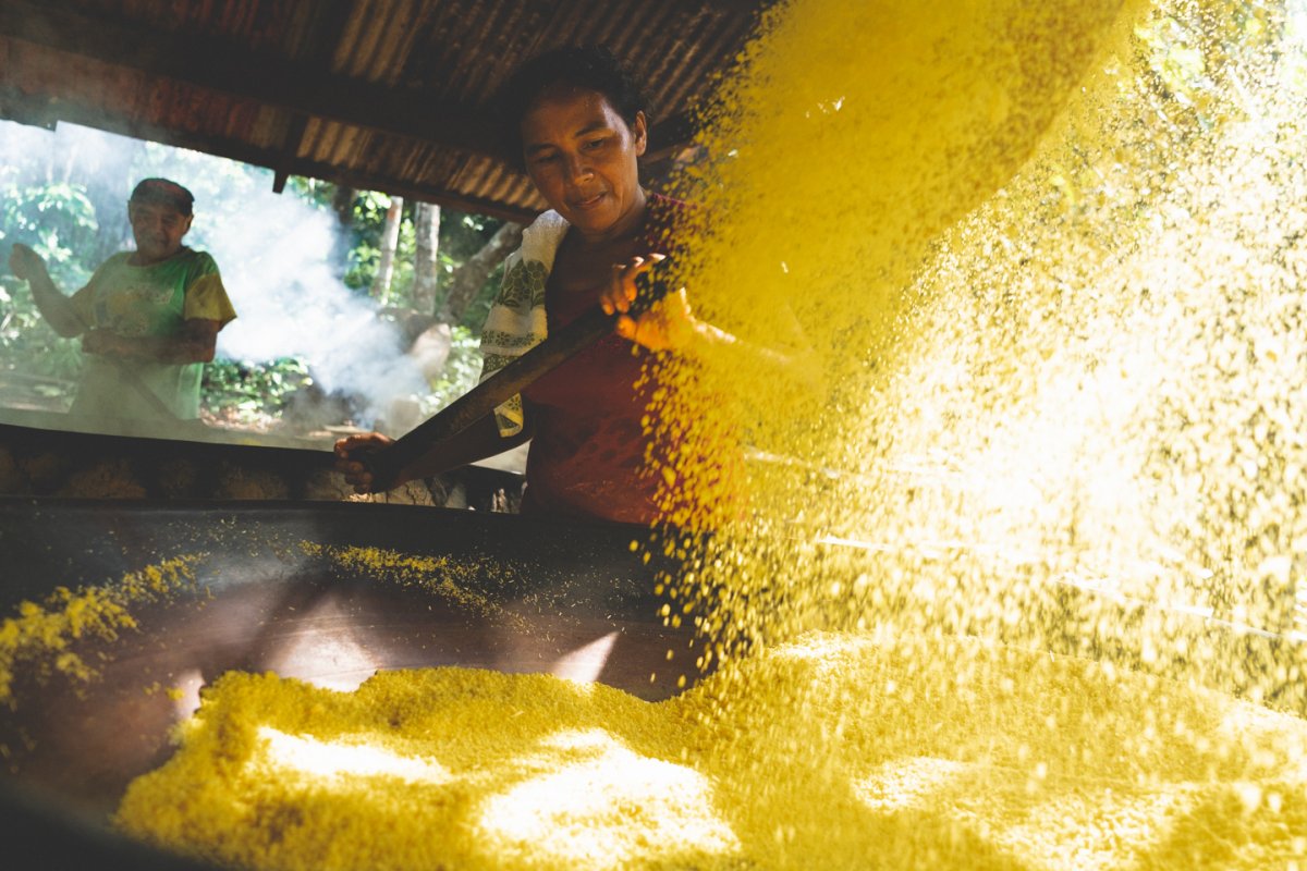 Amazônia - Vivência Ribeirinha no Baixo Rio Negro
