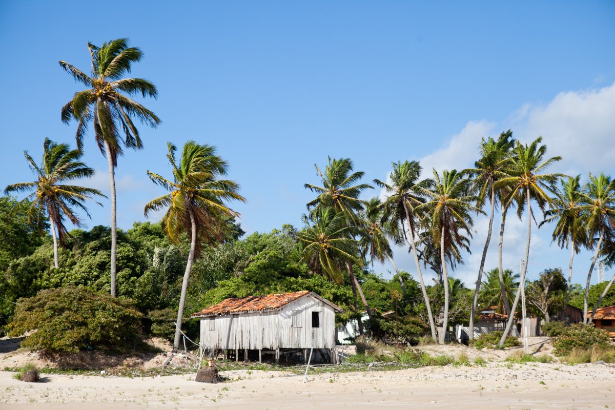 Ilha do Marajó Pará