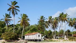 Ilha do Marajó Pará