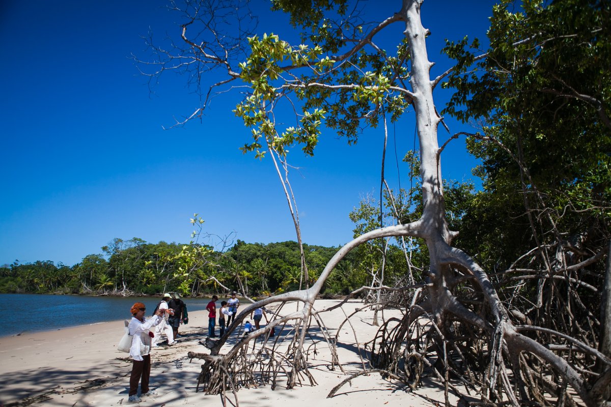 Ilha do Marajó Pará